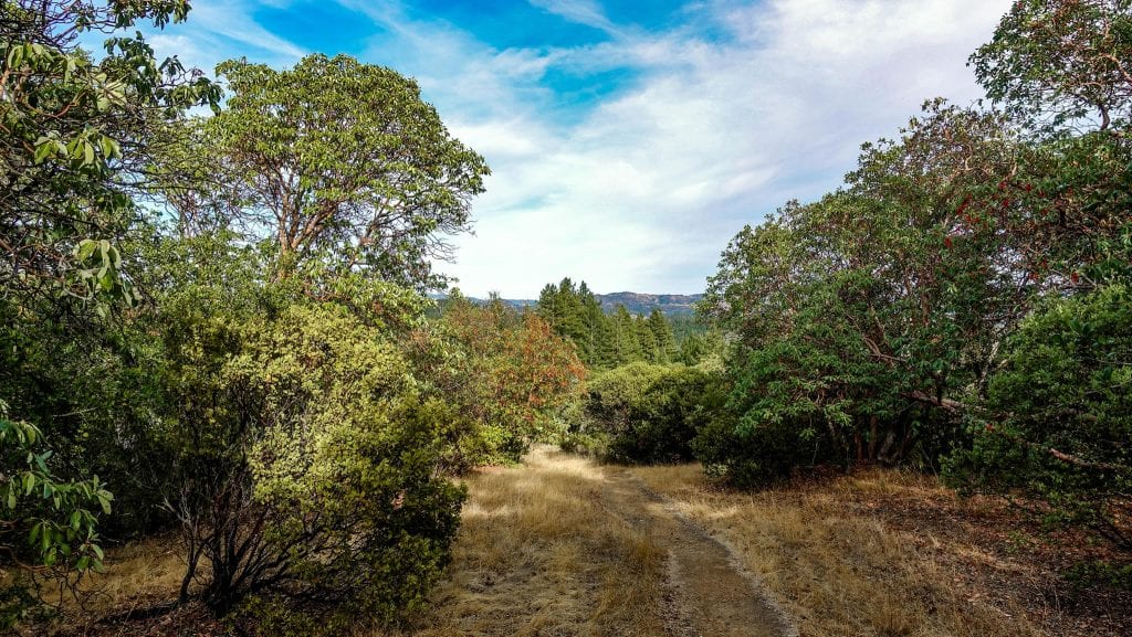 Lake Sonoma Trails   Hiking Near Healdsburg Ca Lake Sonoma Look Back On Trail 1024x577 