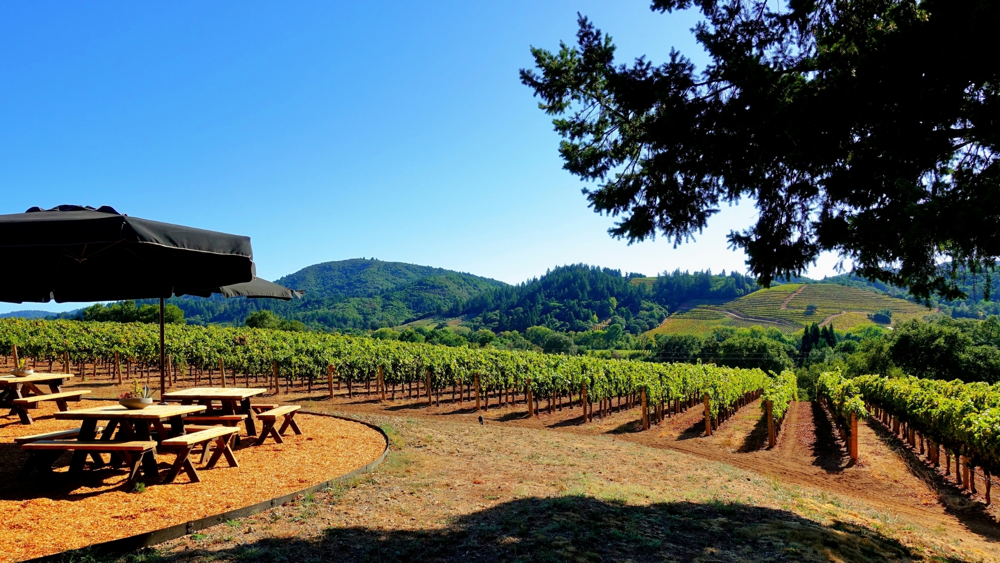 Healdsburg winery deals