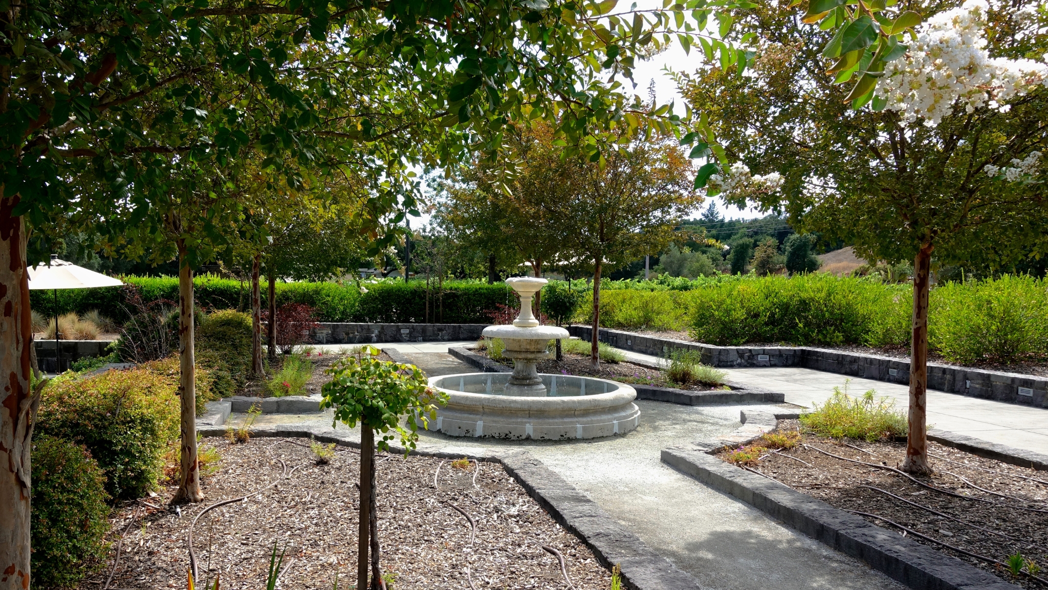 Trione Winery