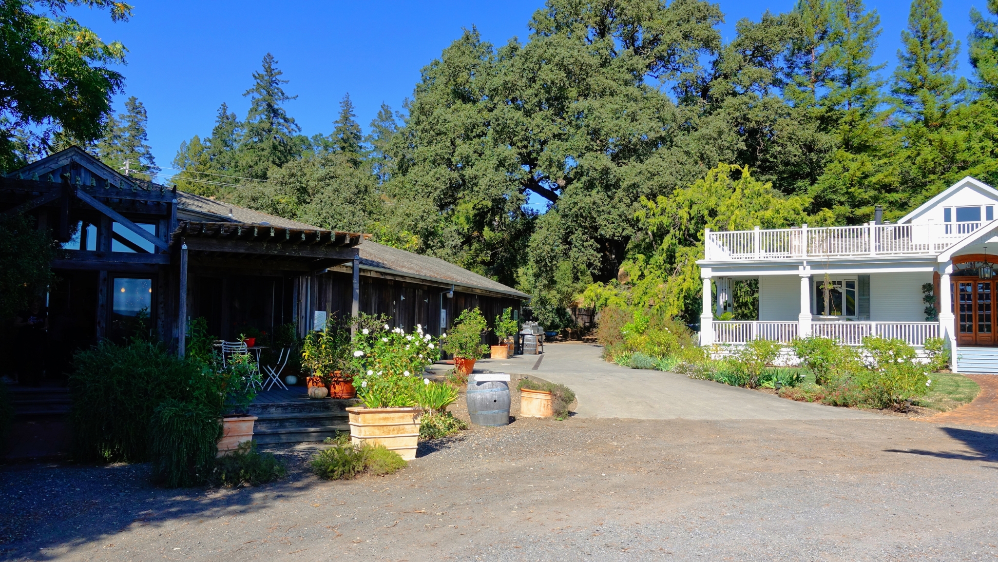 Yoakim Bridge Winery