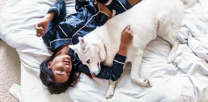 Healdsburg dog friendly B&B's