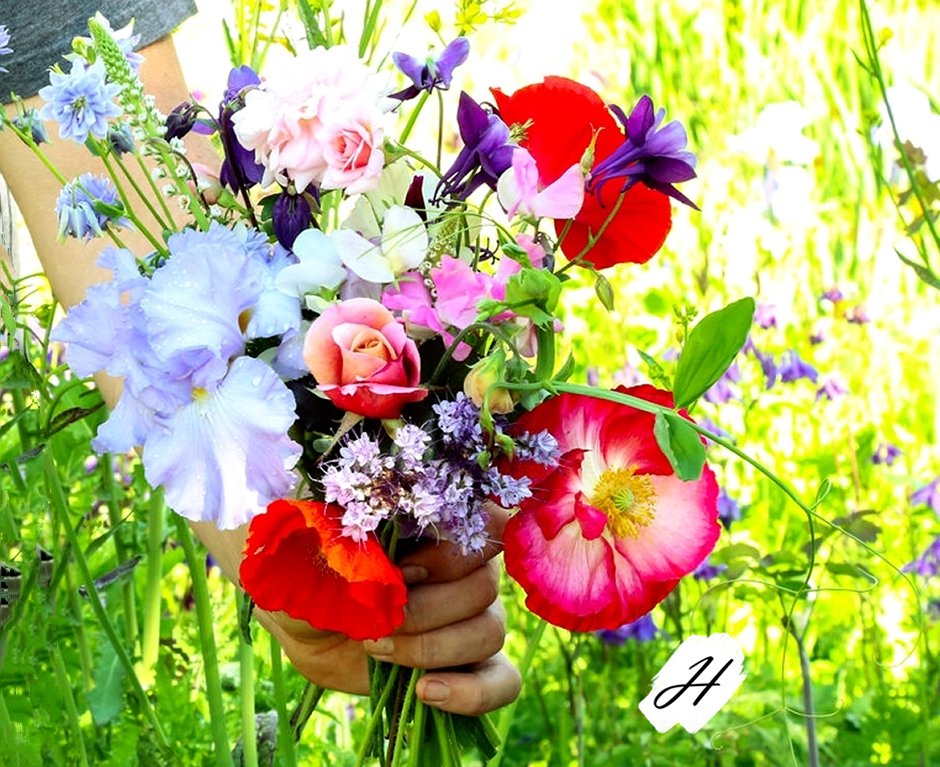 Mother's Day in Healdsburg is Heavenly