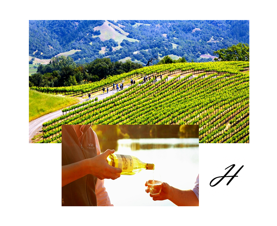 Jordan Winery Estate Hiking Adventure HealdsburgisHeavenly