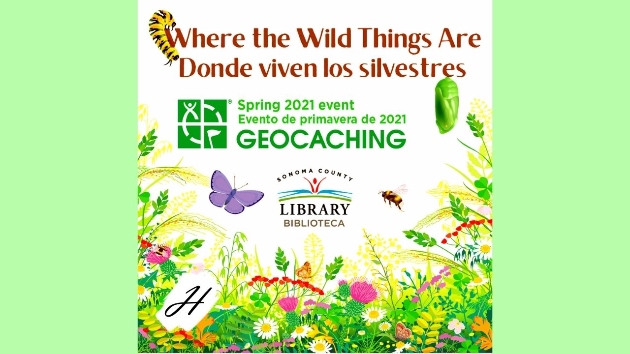 Where The Wild Things Are Healdsburg Library