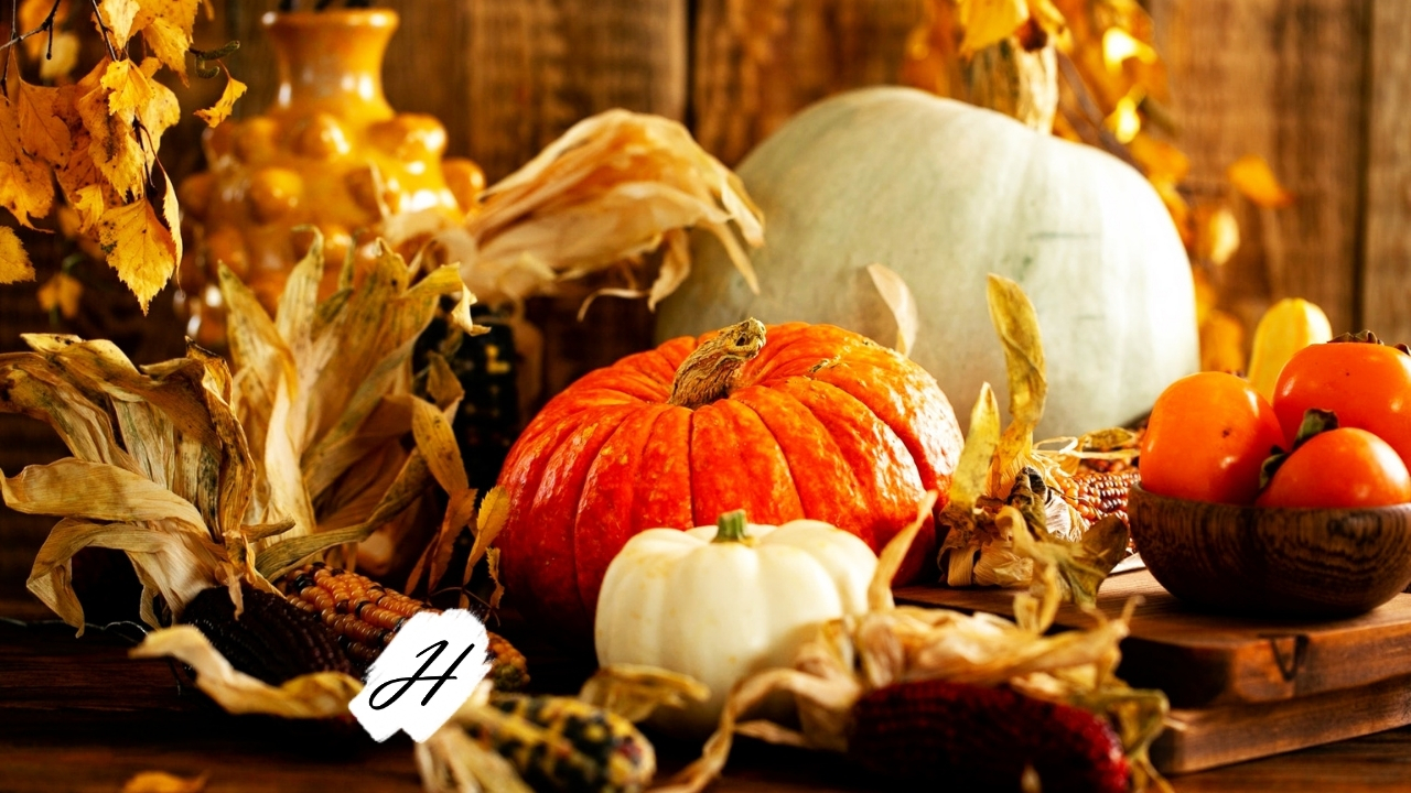 Harvest Experience DCV3 Healdsburg