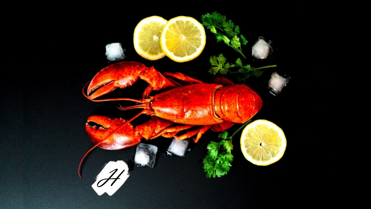 Lobster Feed 2022 at Rodney Strong Vineyards in Healdsburg