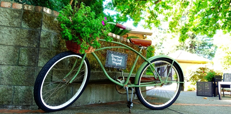 Dry Creek Vineyard Bicycle Healdsburg