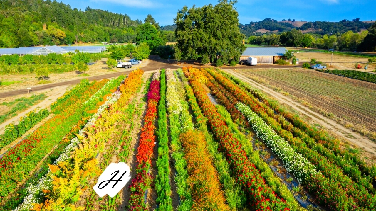 Slow Farm Tour - Front Porch Farm in Healdsburg