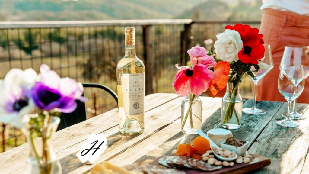 Outdoor Dinner 2023 in Healdsburg CA