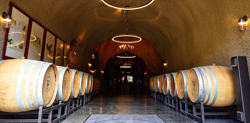 Thomas George Estates Wines Caves in Healdsburg CA