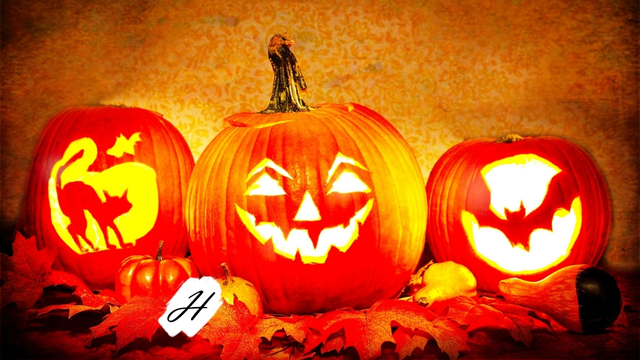Healdsburg Farmers' Market Pumpkin Festival