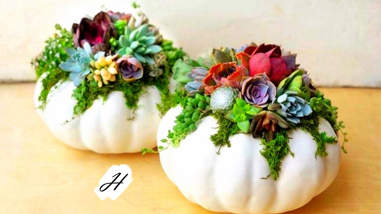 Pumpkin Decorating at Rodney Strong Winery Healdsburg 2021