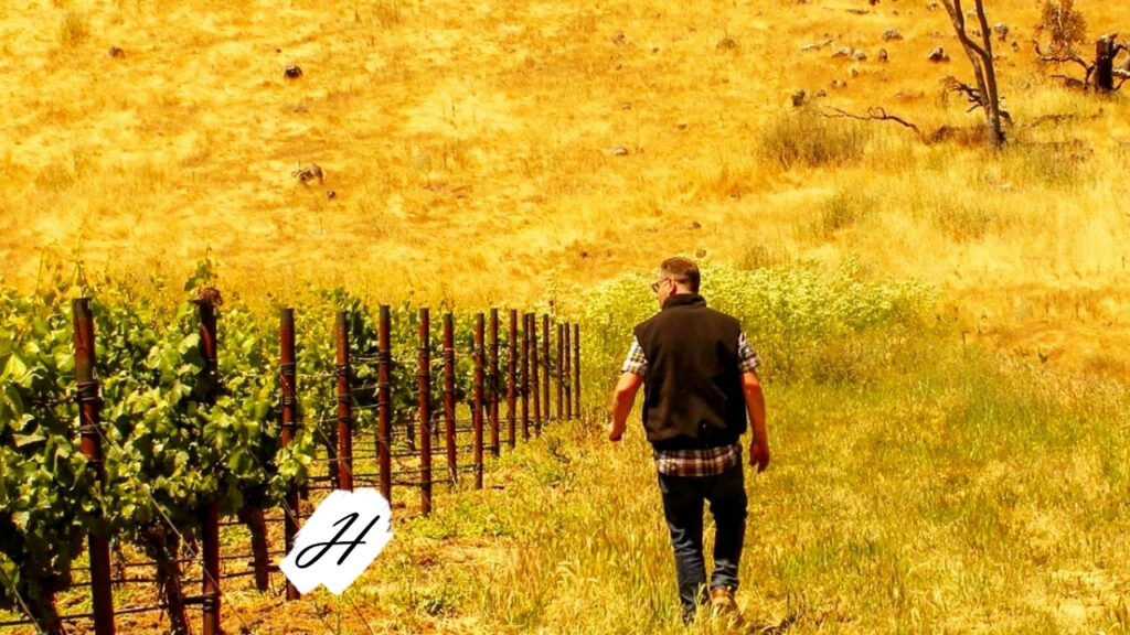 Fall Wine Party Montagne Russe 2021