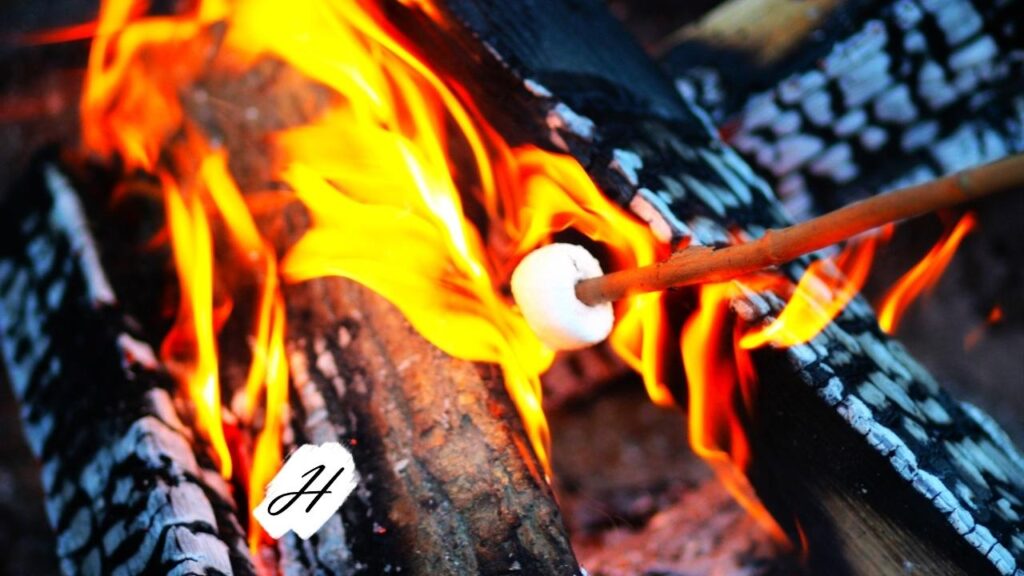 Havdalah & S'mores with Eden Village West 2022 in Healdsburg CA