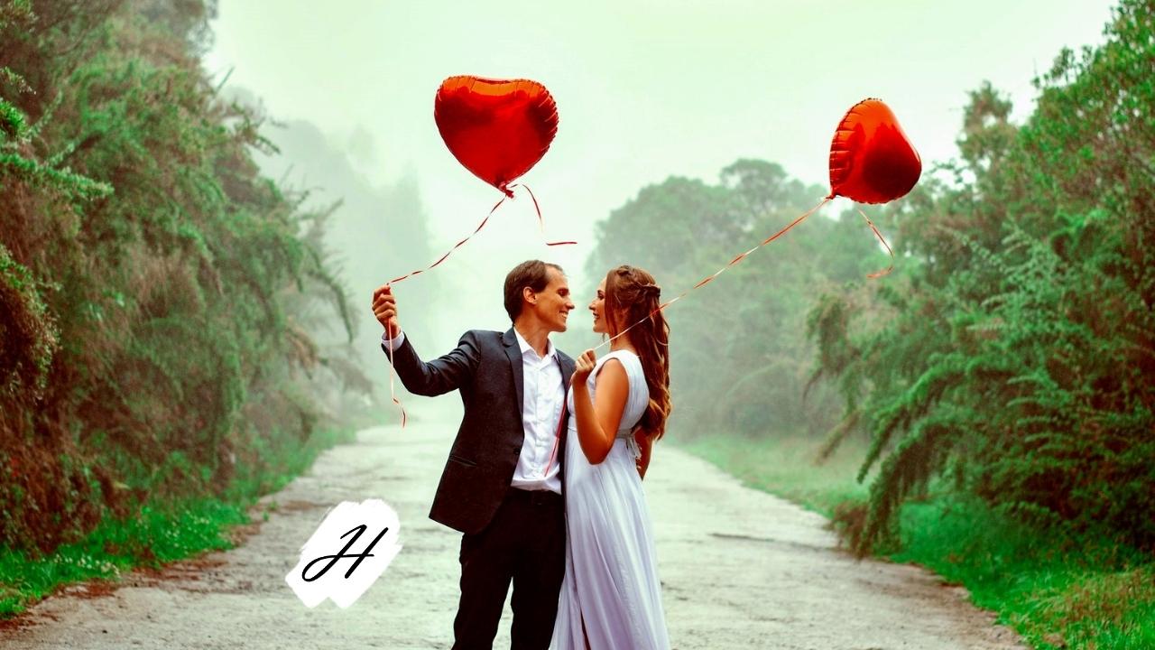 Valentine's Day Picnic Bundle Aldina Vineyards in Healdsburg 2022