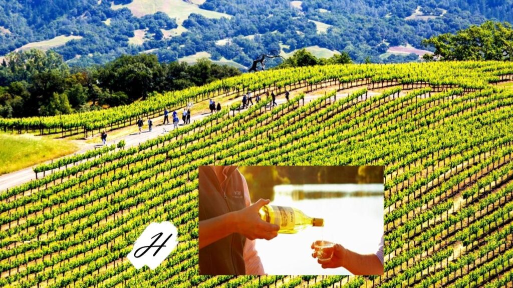 Earth Week Nature Hikes at Jordan Winery Healdsburg 2022