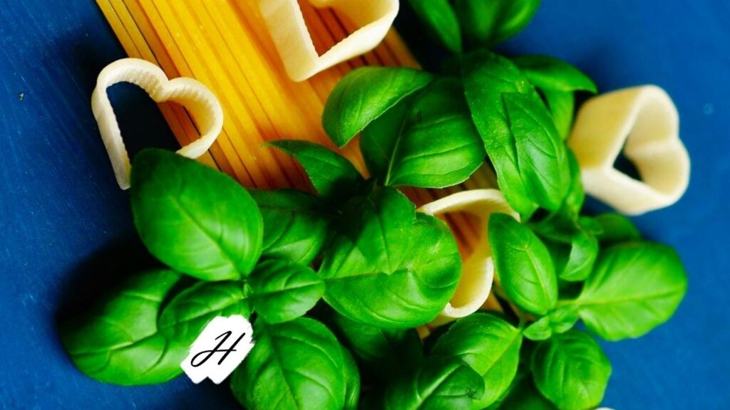 Italian Pasta and Wine Class 2022 in Healdsburg