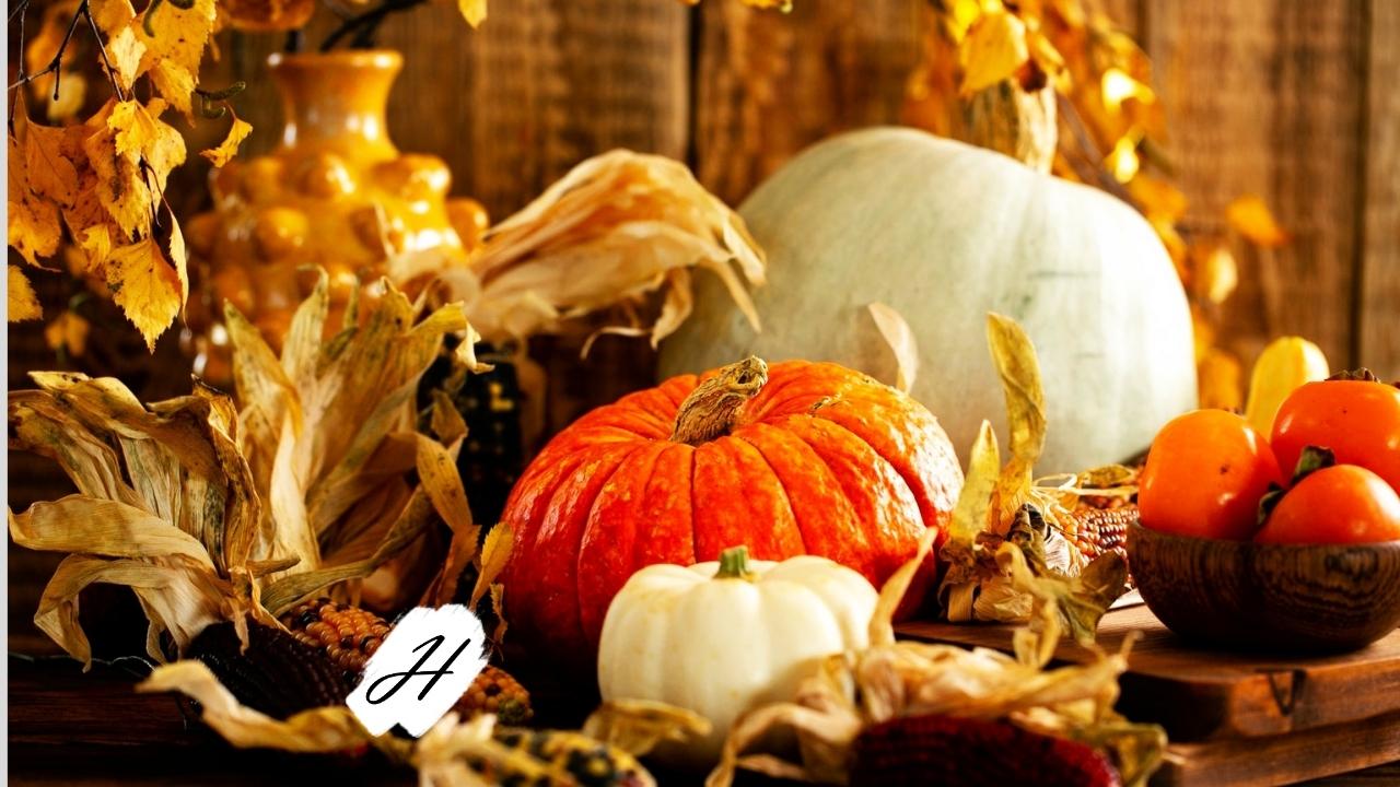 Harvest Party in Healdsburg