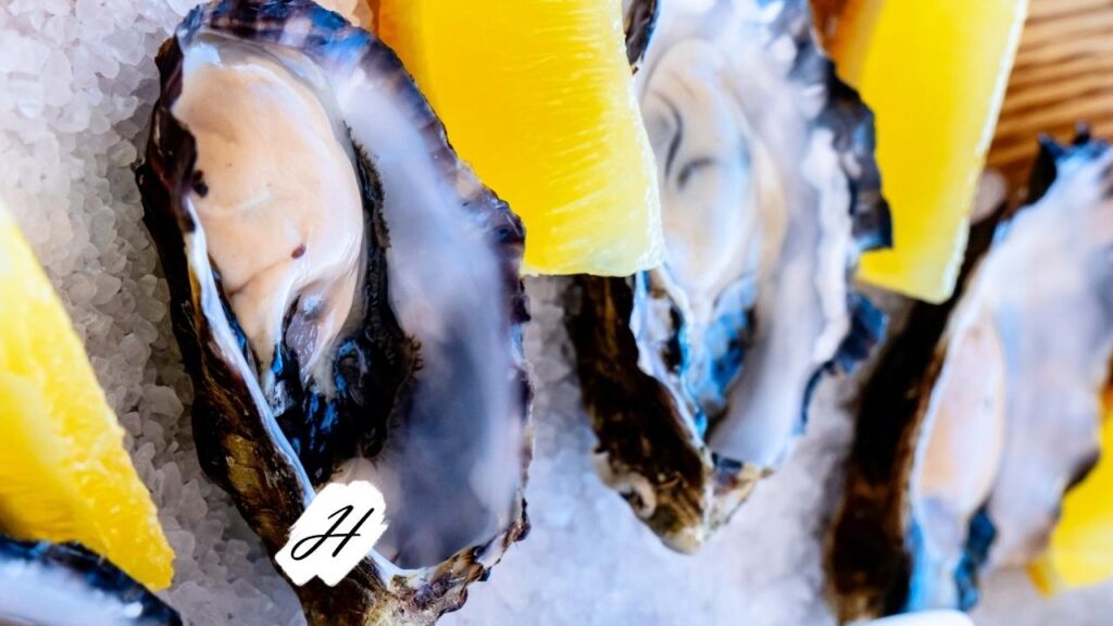 Oysters and Wine in Healdsburg