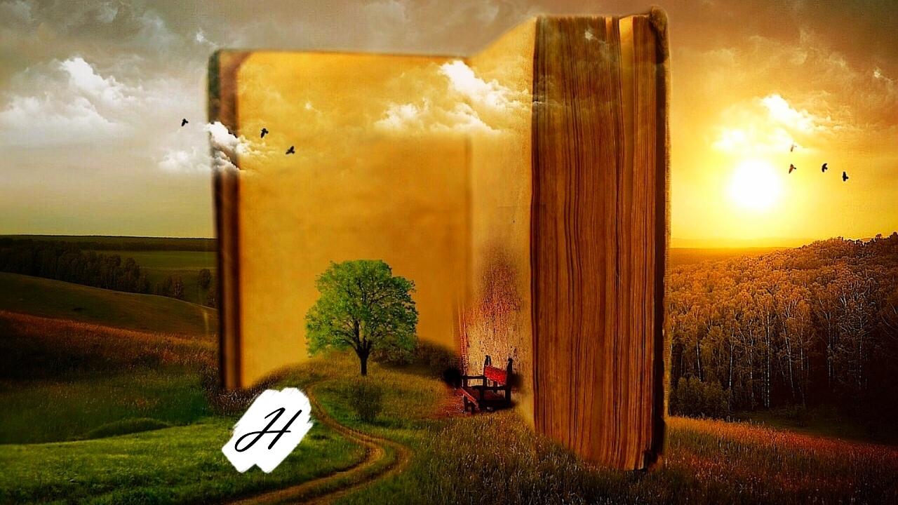 Seeds and Reads in Healdsburg
