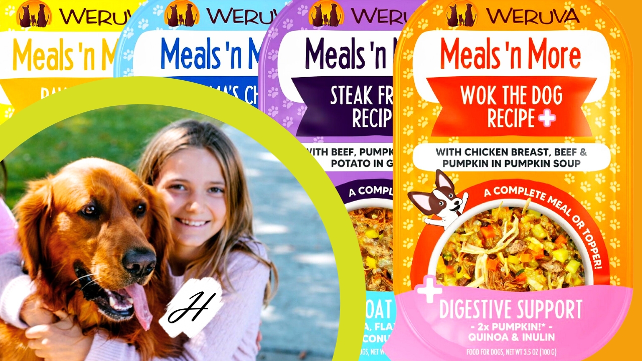 Doggie Meet-n-Greet Nutrition Special 2023