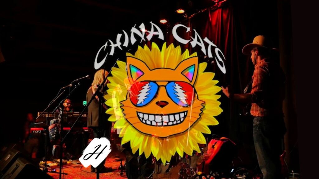China Cats Tribute Band in Healdsburg 2023
