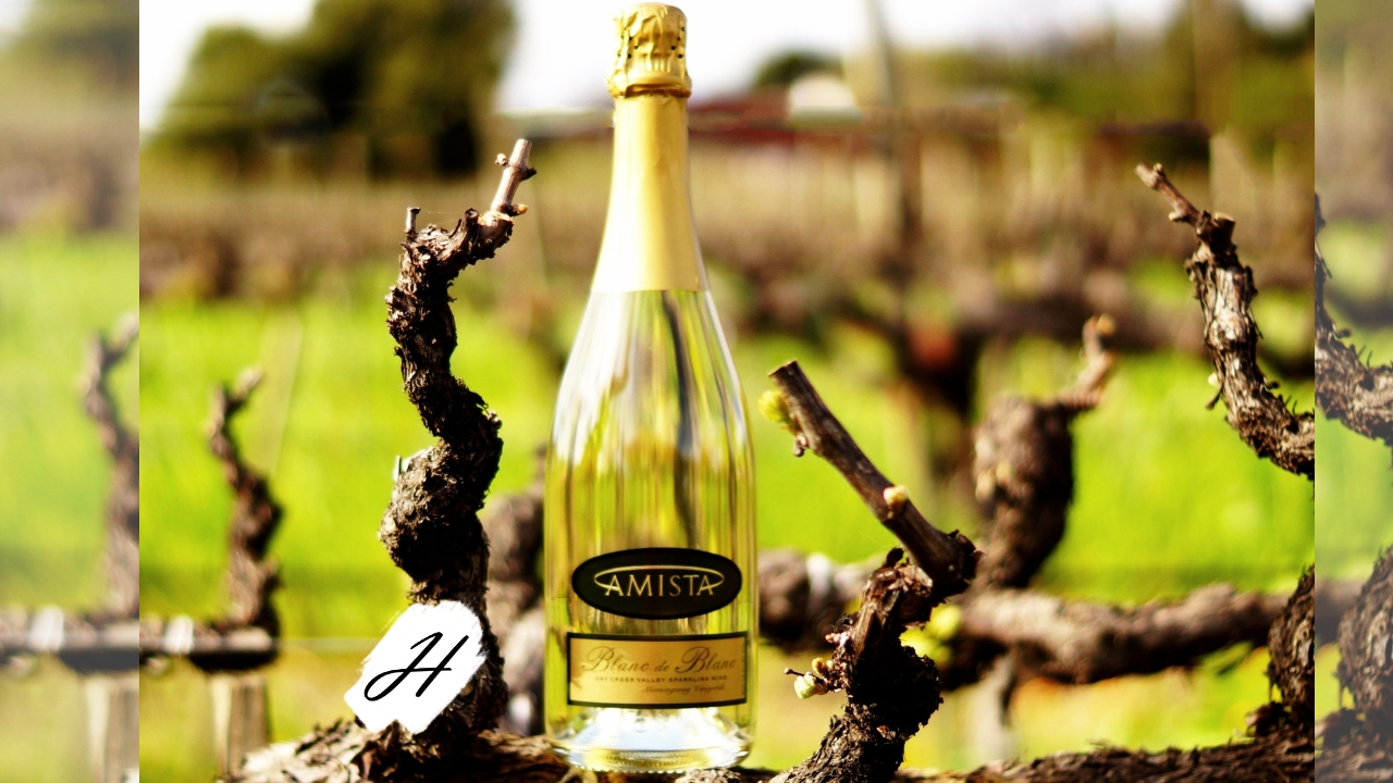Amista Harvest Party 2023 in Healdsburg