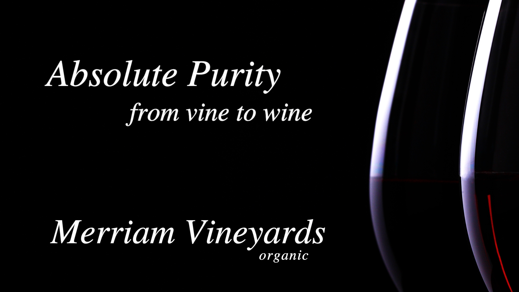 Best Healdsburg Organic Winery Merriam